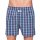 D.E.A.L. Boxershorts Check 191984