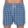 D.E.A.L. Boxershorts Check 191992
