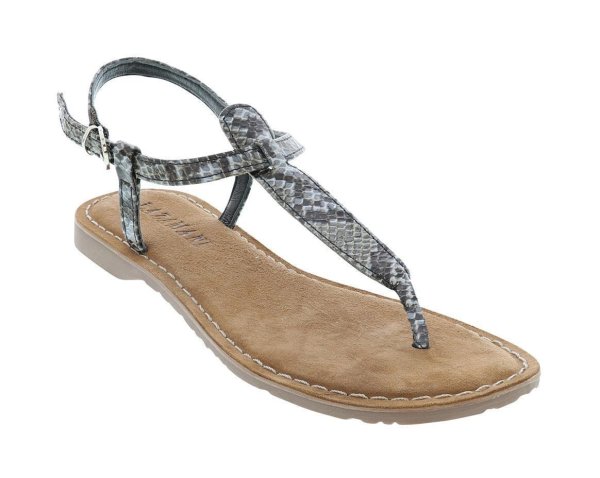 snake grey